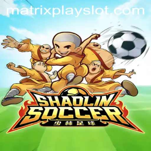 ShaolinSoccer: Mastering the Art of Matrixplay
